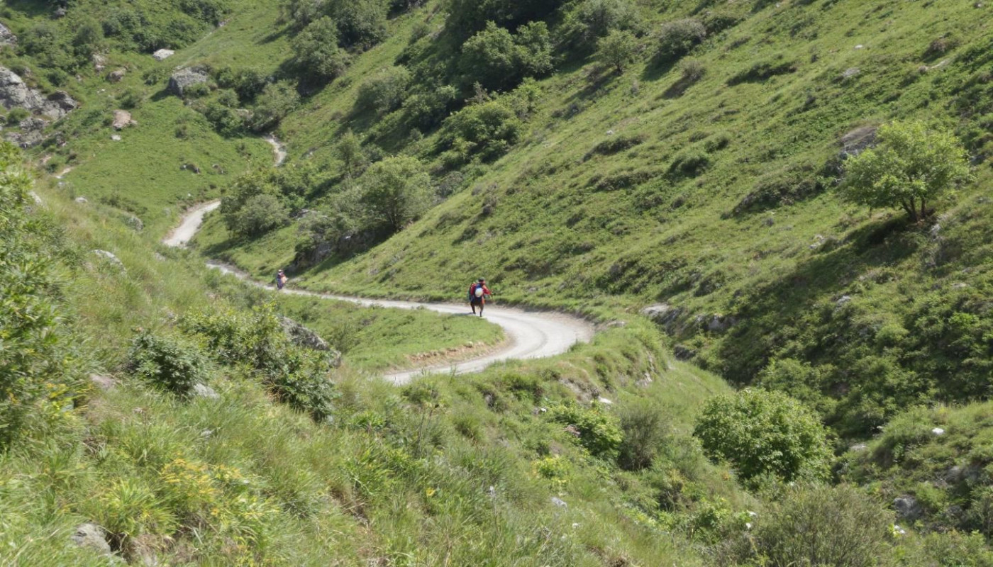 Optimisation de l'hydratation pour augmenter la performance en trail ?